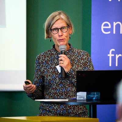 Karin Lindskog om Inramningsgruppens projekt