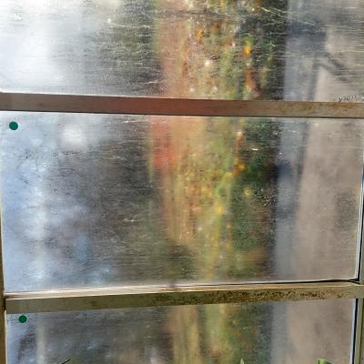 De gröna markering- arna på glasen är från inventeringen och visar att glasen kan återvinnas till nytt planglas.