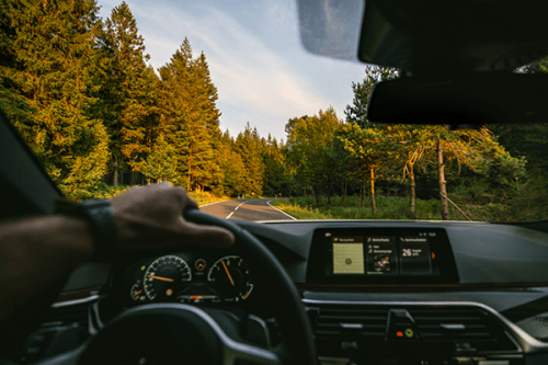 En person kör en bil i en skymmande skogsmiljö 