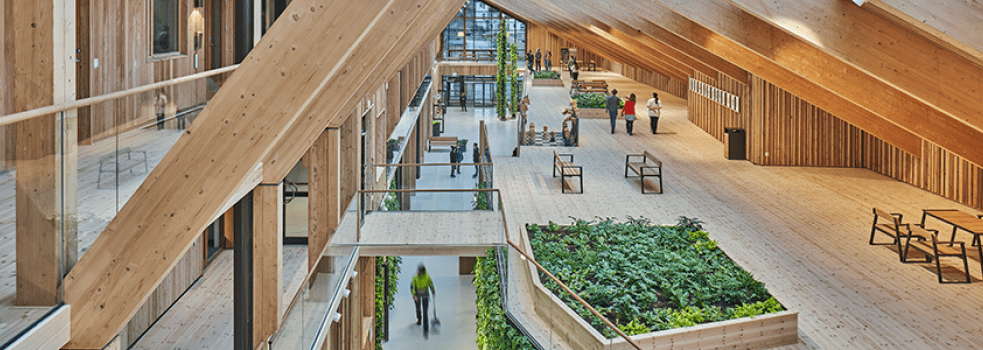 Öppen och ljus arkitektur i trä och glas i Lindesbergs hälsocentrum