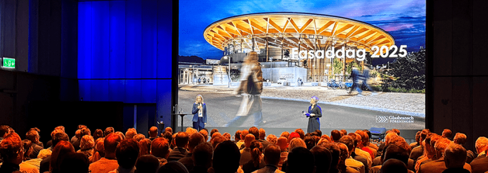 Människor i publik under Fasaddagen 2025