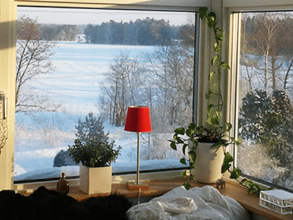 Utsikt över ett vinterlandskap genom ett fönster