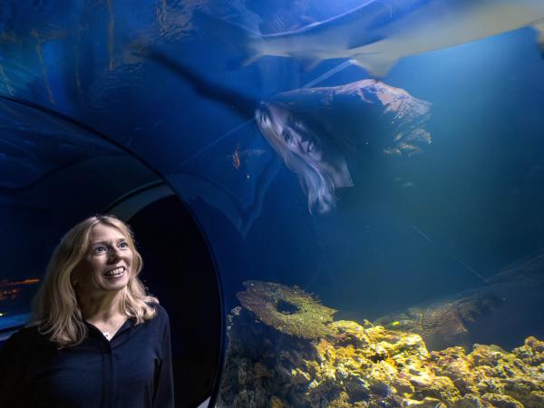 Kvinna står framför ett akvarium med simmande hajar